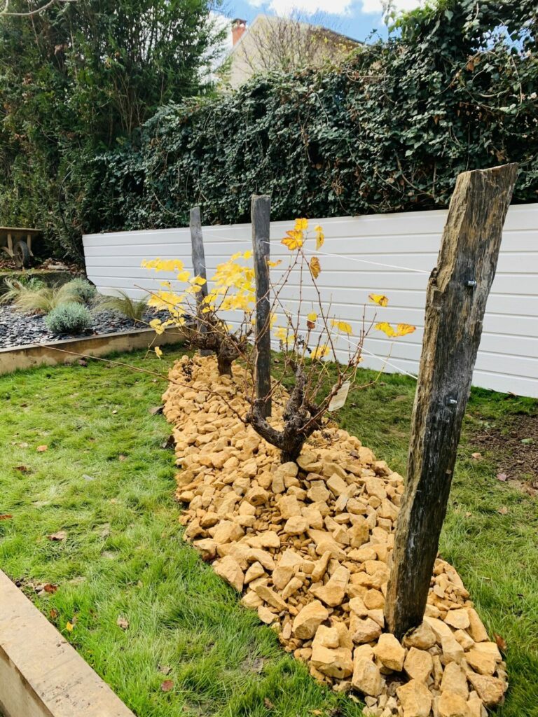 -12_20211004_2032329631